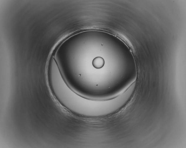 X0000112831138200909041457