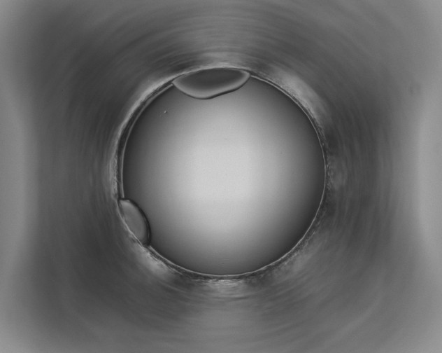 X0000112831140200909041457