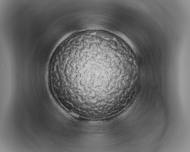 X0000112831142200909041457