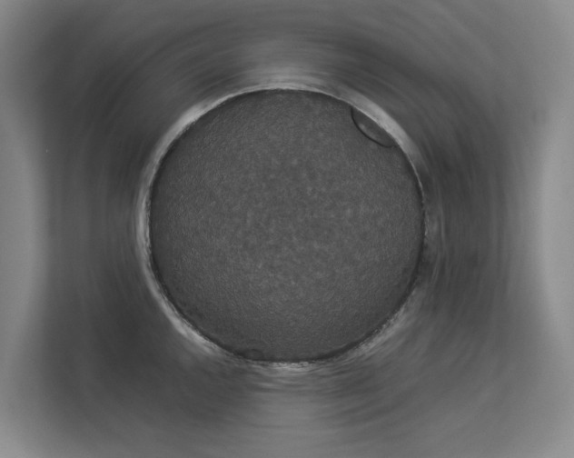 X0000112831144200909041457