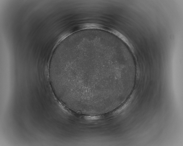 X0000112831145200909041457