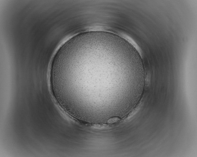 X0000112831146200909041457