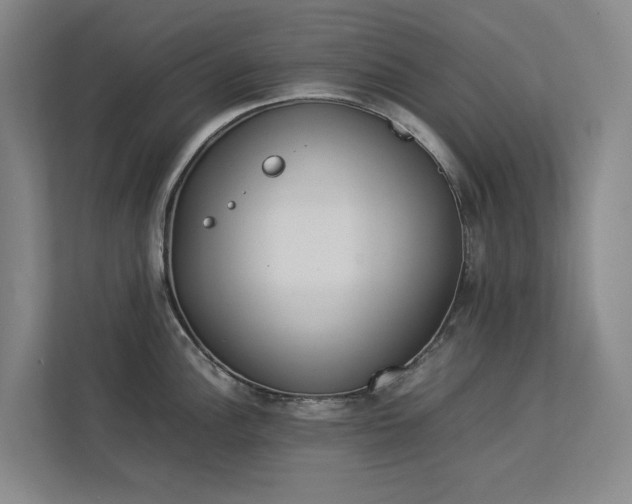 X0000112831148200909041457