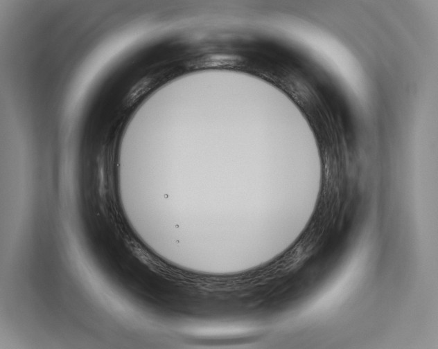 X0000112831150200909041457