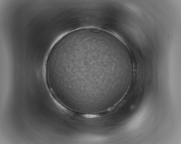 X0000112831151200909041457