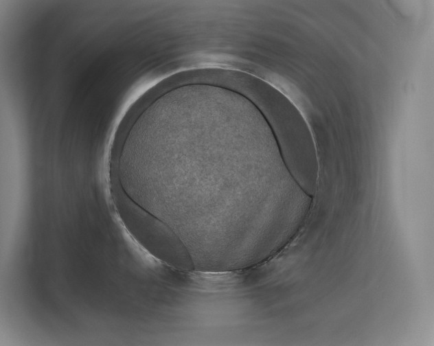 X0000112831152200909041457