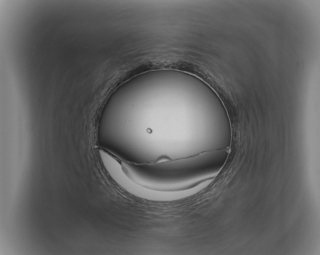 X0000112831153200909041457