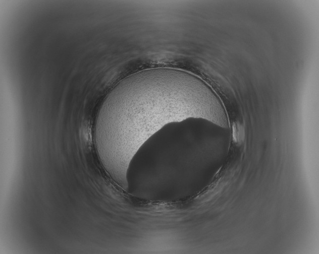 X0000112831155200909041457