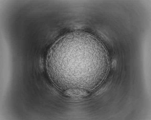 X0000112831156200909041457