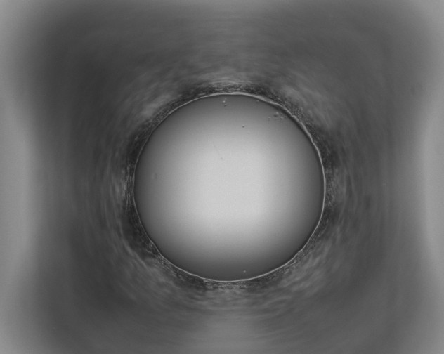 X0000112831157200909041457