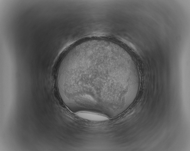 X0000112831160200909041457