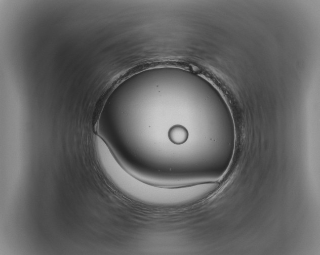 X0000112831161200909041457