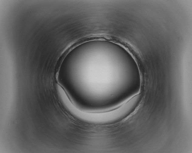 X0000112831162200909041457