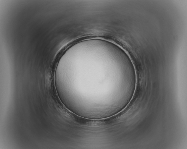 X0000112831163200909041457