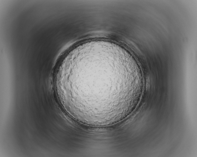 X0000112831164200909041457