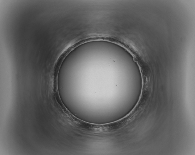 X0000112831165200909041457