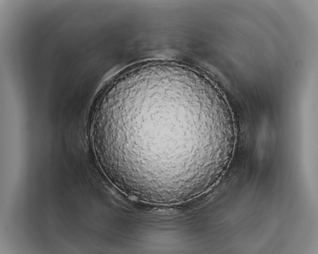 X0000112831168200909041457