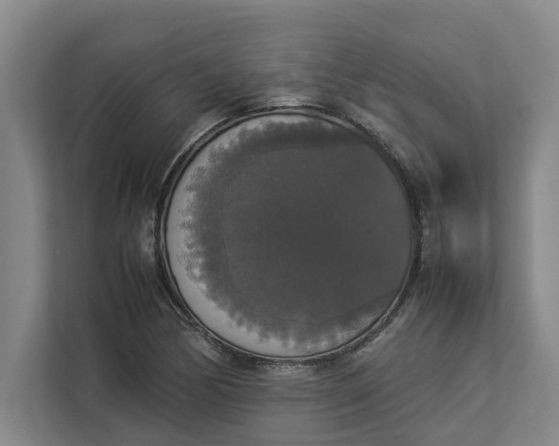 X0000112831170200909041457