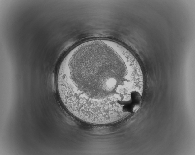 X0000112831171200909041457