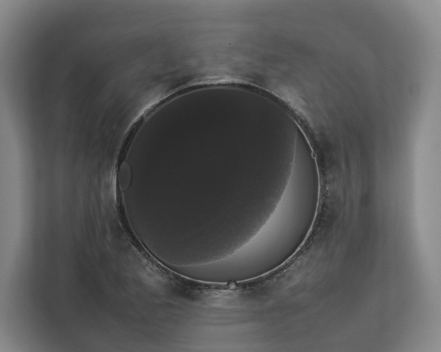 X0000112831173200909041457