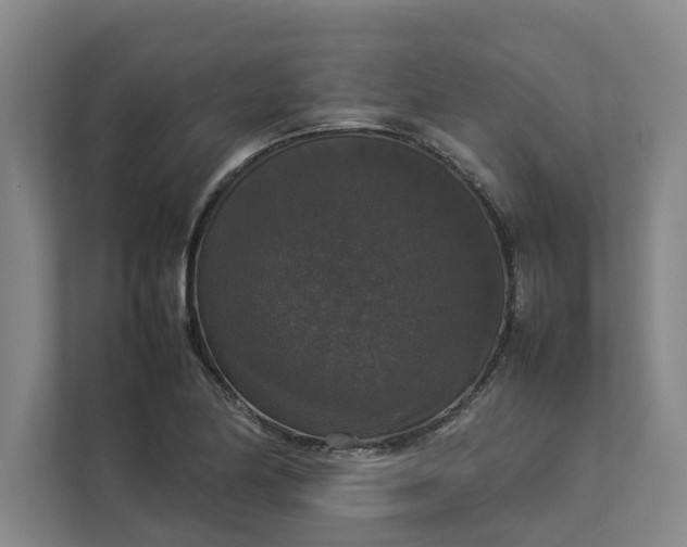 X0000112831174200909041457