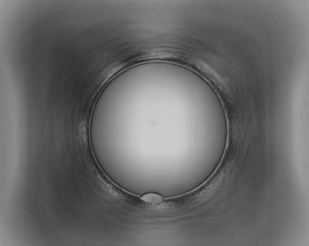 X0000112831177200909041457