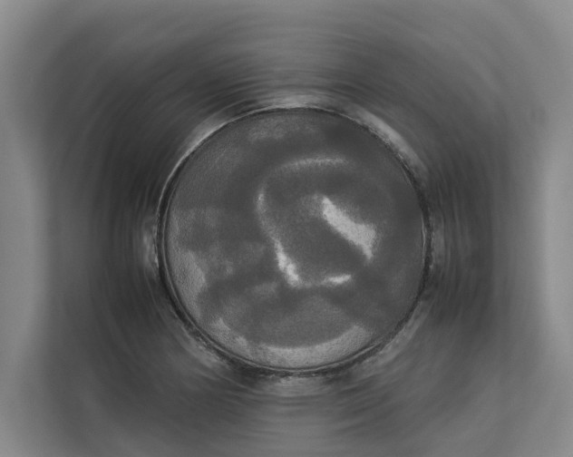 X0000112831178200909041456