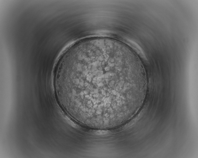 X0000112831180200909041456