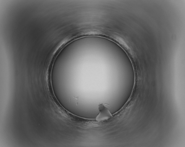 X0000112831181200909041456