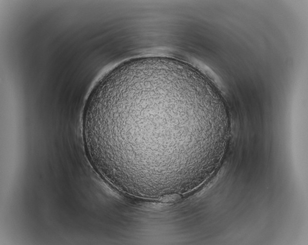 X0000112831184200909041456