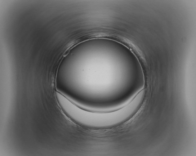 X0000112831185200909041456