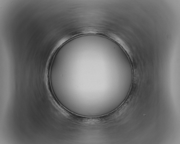 X0000112831187200909041456