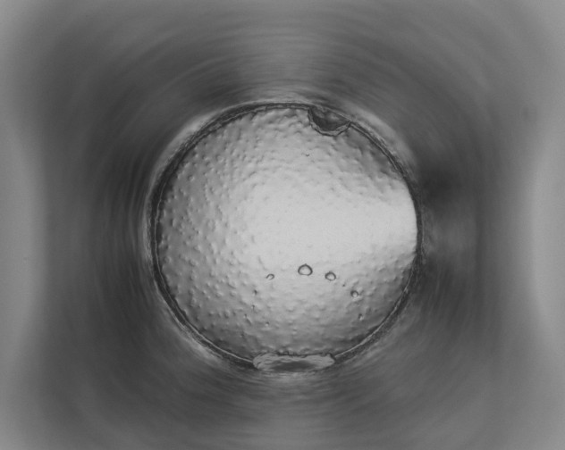 X0000112831188200909041456