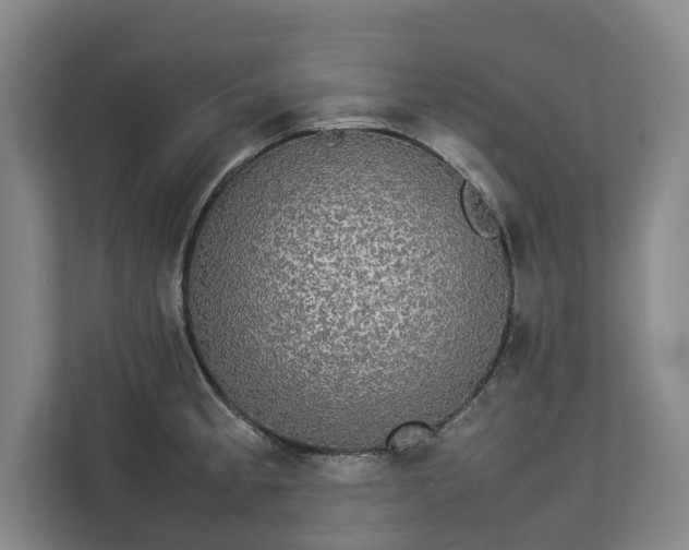 X0000112831189200909041456