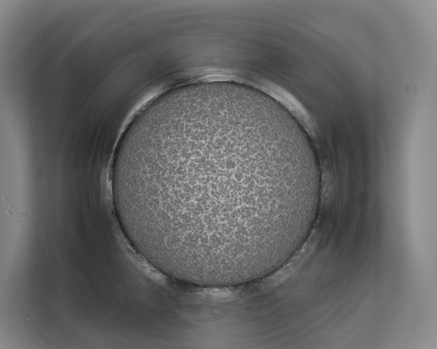 X0000112831190200909041456