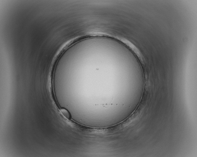 X0000112831191200909041456