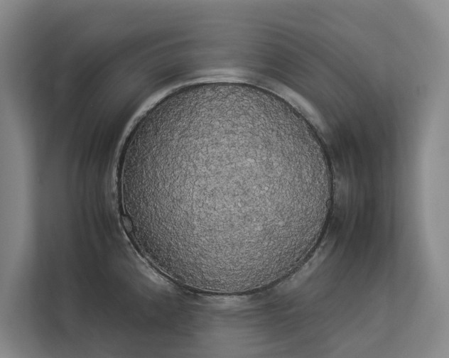 X0000112831192200909041456