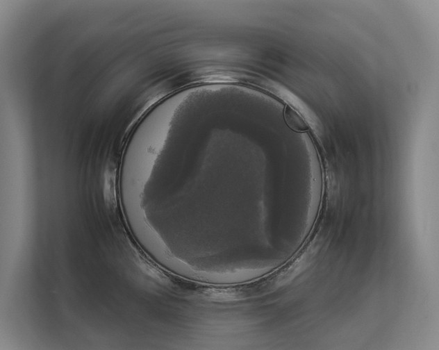 X0000112831194200909041456