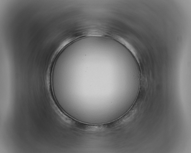 X0000112831195200909041456