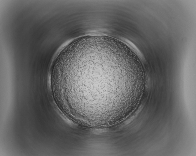 X0000112831196200909041456