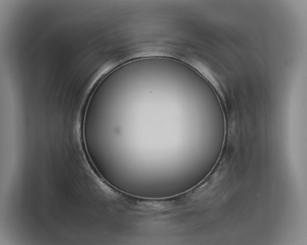 X0000112831197200909041456