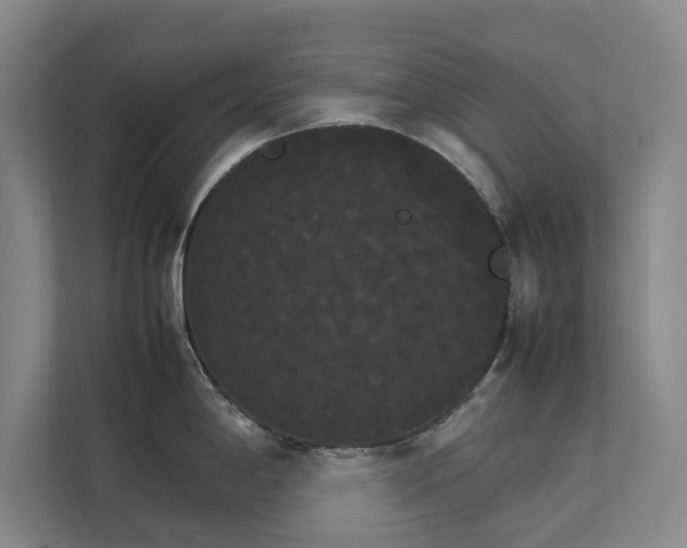 X0000112831198200909041456