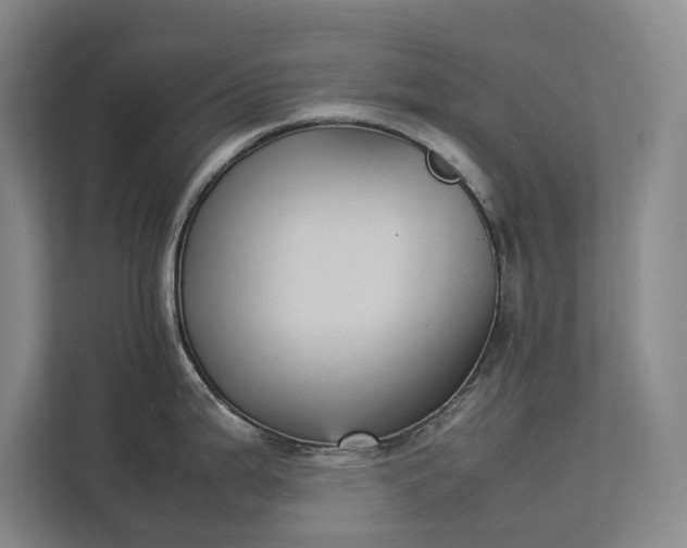 X0000112831199200909041456