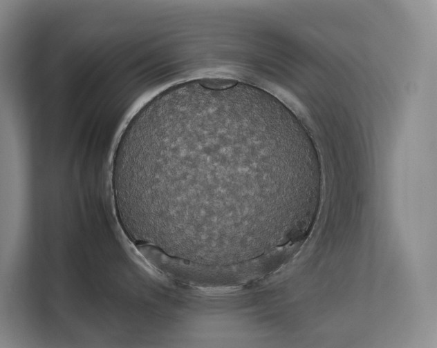 X0000112831200200909041456