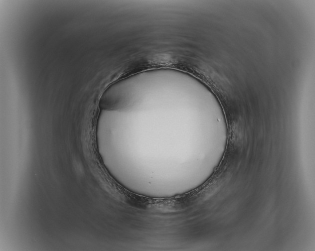 X0000112831201200909041456