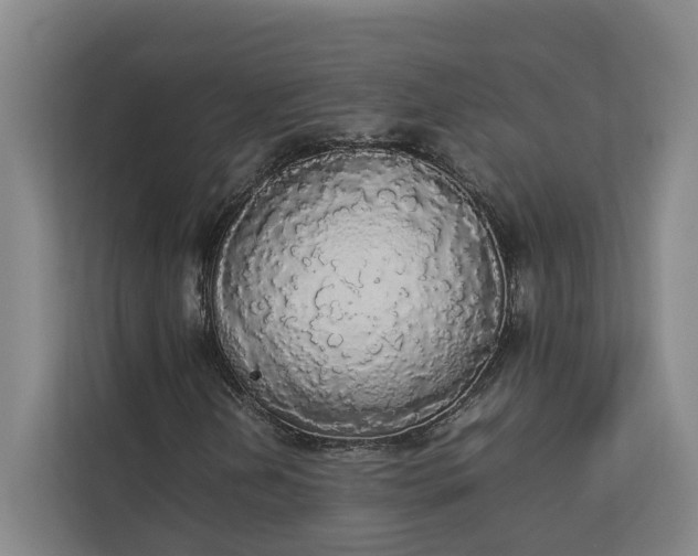 X0000112831202200909041456