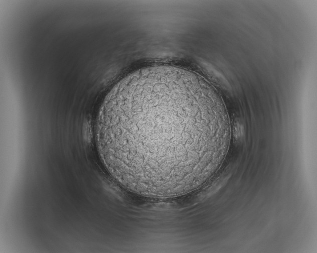 X0000112831204200909041456