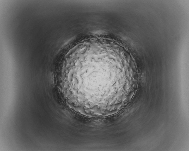 X0000112831205200909041456