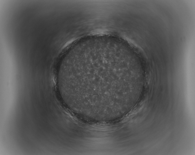 X0000112831206200909041456