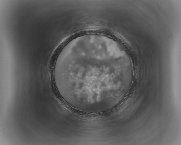 X0000112831208200909041456